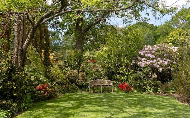 A tranquil garden scene featuring a bench surrounded by rhododendrons A tranquil garden scene featuring a bench surrounded by rhododendrons