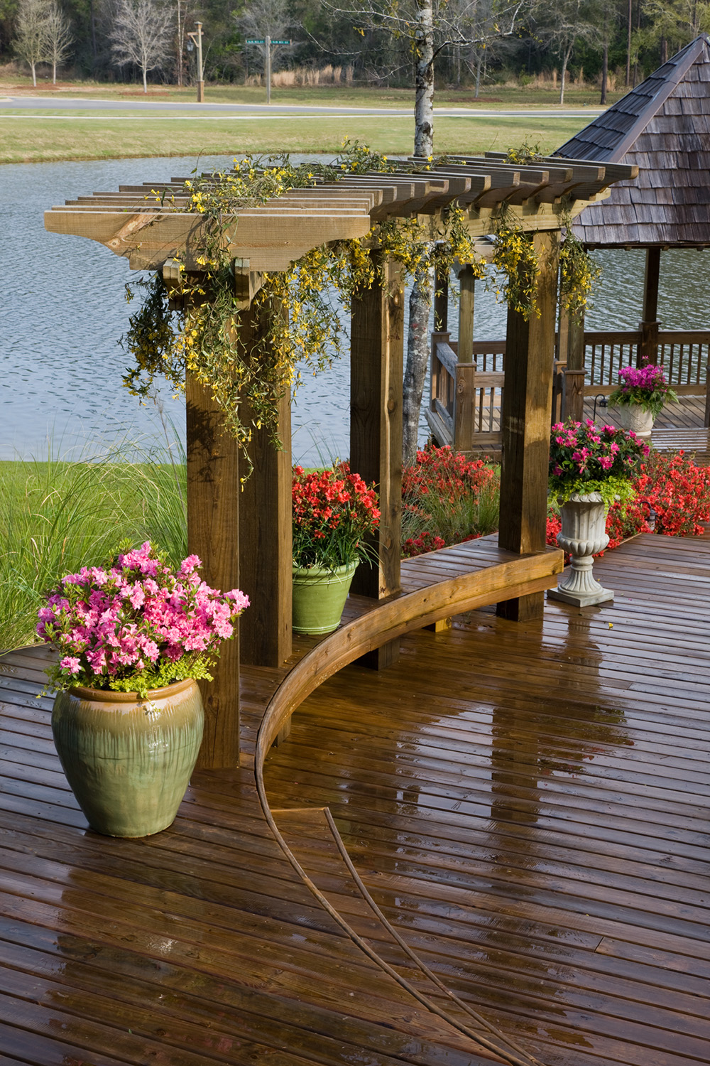 4 Tips for Growing Azaleas in Pots Plant Addicts