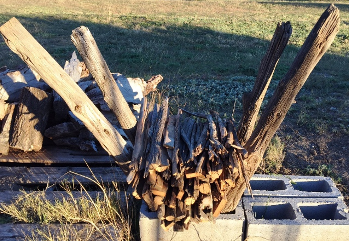 Repurpose an old fence post into pilings for a gull to perch. A