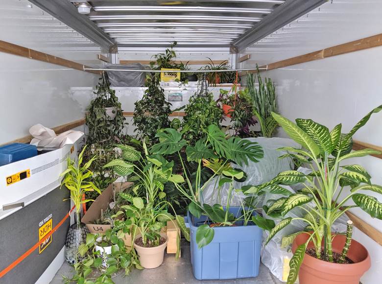 Moving Long Distances with Plants Plant Addicts